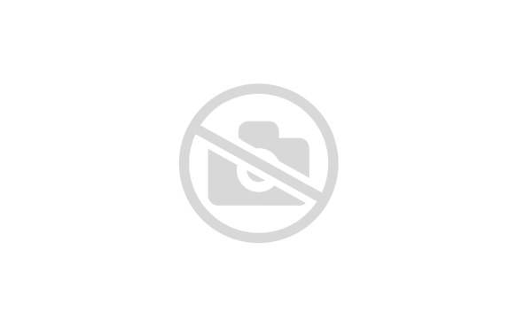 Ковровое покр. Белка Скролл 01_254 шир.-3.5м.